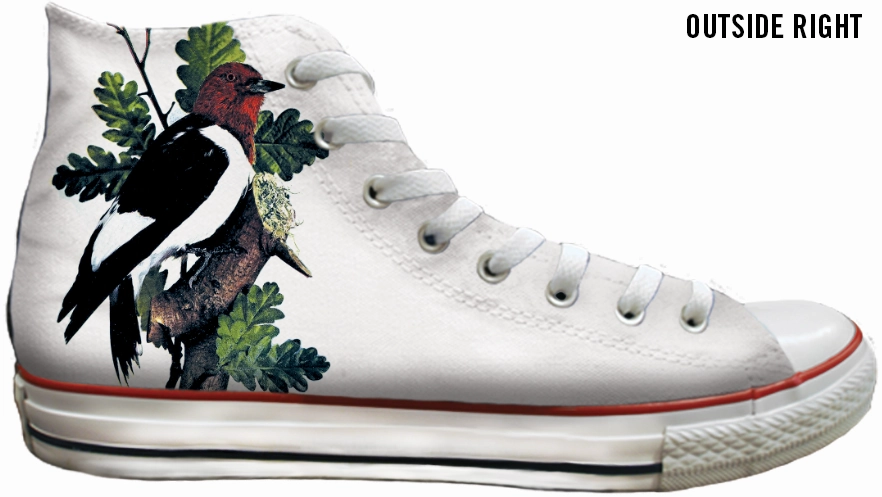 Baggins Original Hi Top Botanical Birds