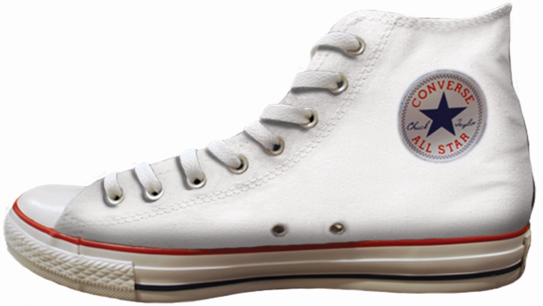 Baggins Original Hi Top Botanical Birds