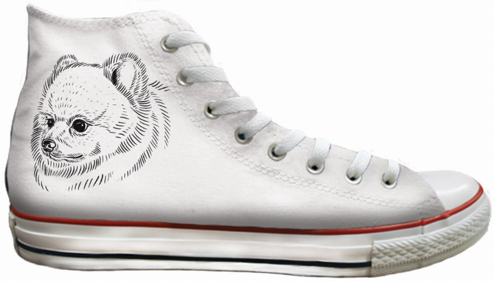 Baggins Original Hi top Pomeranian