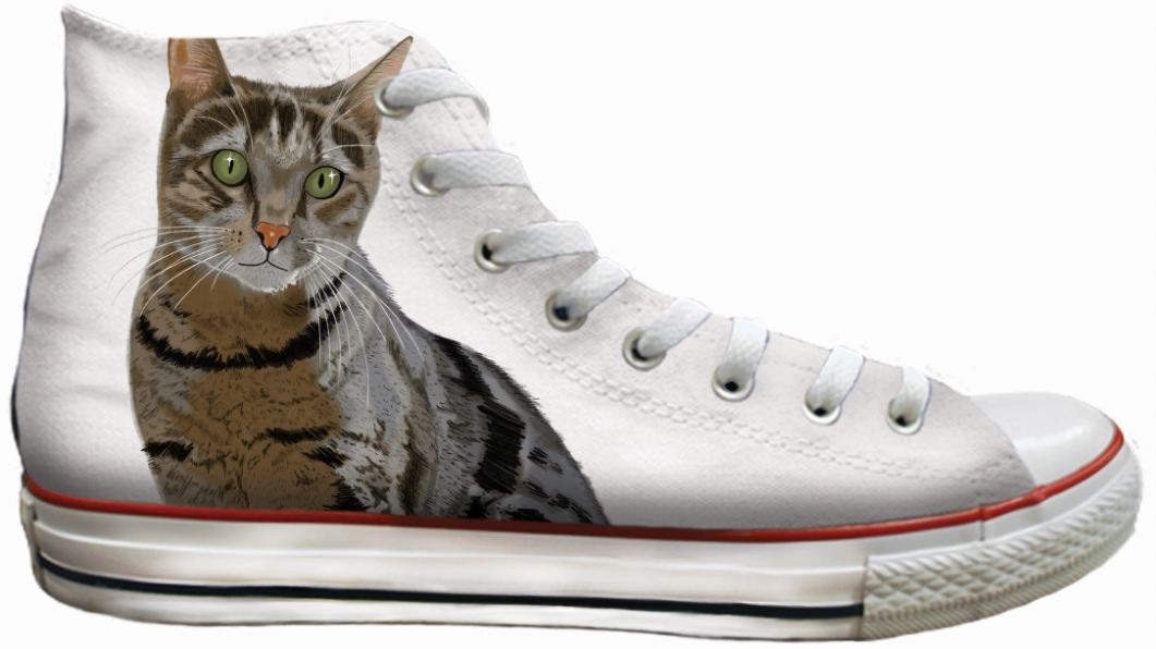 Baggins Original Hi Top Tabby Cat