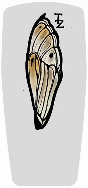 Baggins Original Hi Top Tattoo Zoo Thea Hartley Buglette