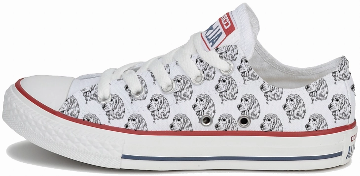 Baggins Original Low top English Cocker Spaniel