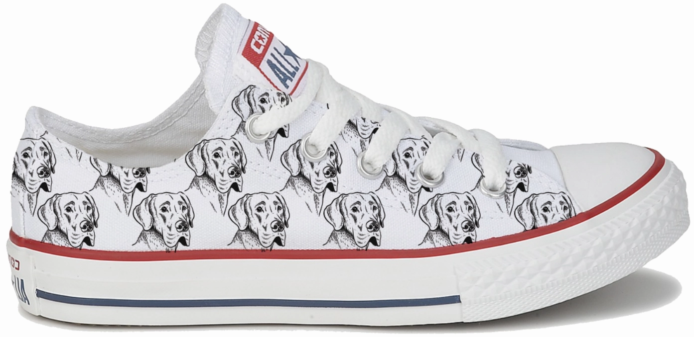 Baggins Original Low top Great Dane