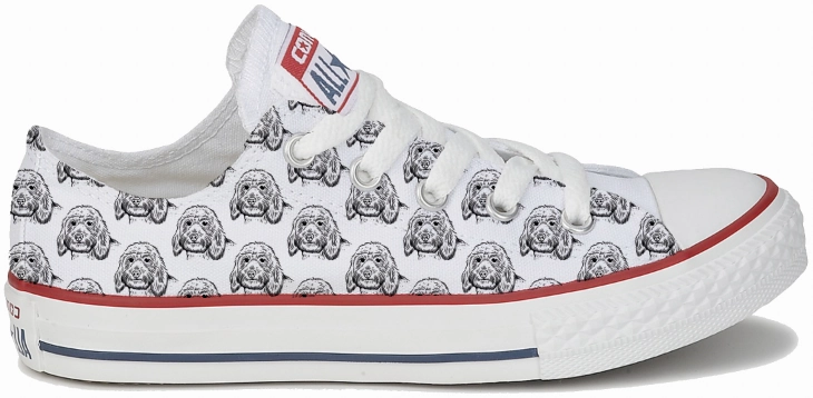 Baggins Original Low top Labradoodle