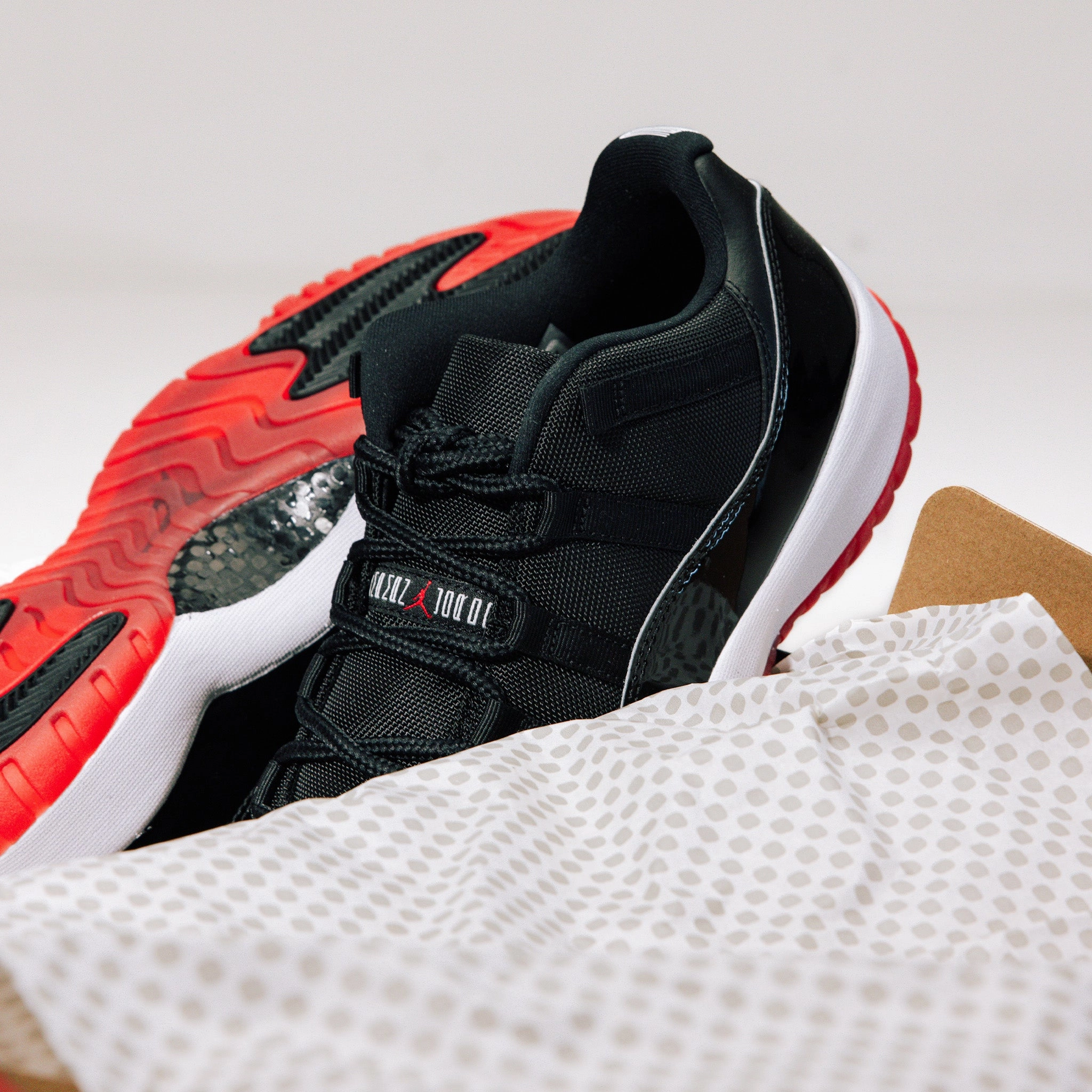 Jordan 11 Retro Low Bred (2025)