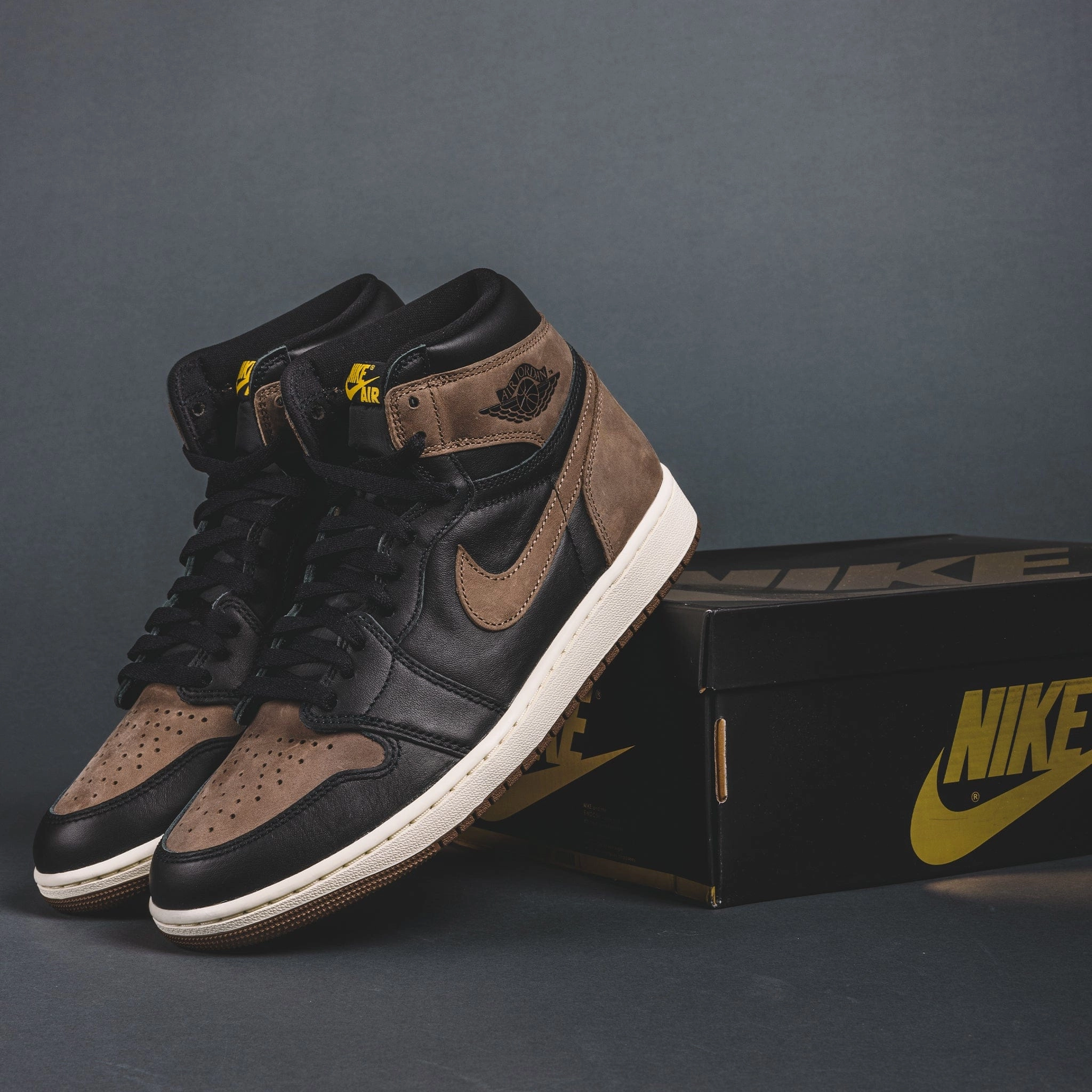 Jordan 1 Retro High OG Palomino