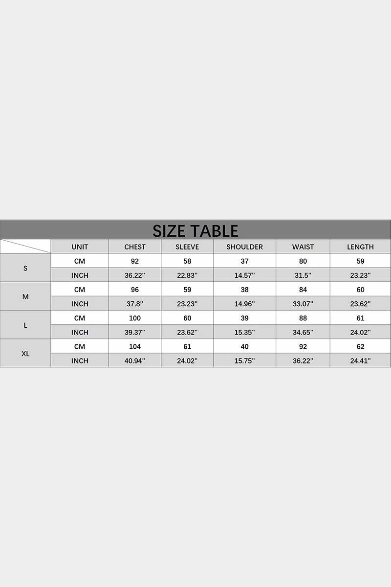 Soft Material LANTERN SLEEVE RUFFLED SWISS DOT CHIFFON TUNIC