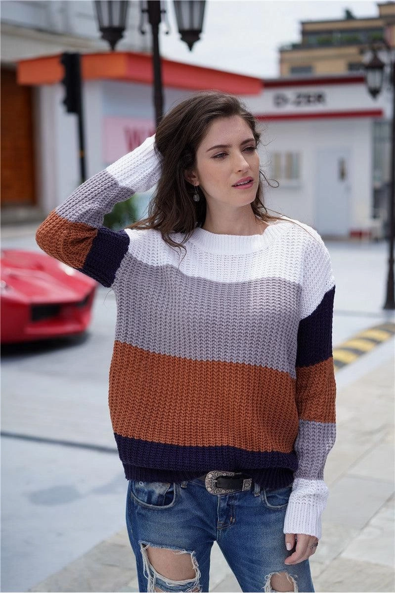Classic Hoodie Daily Wear MULTI COLOR SWEATER