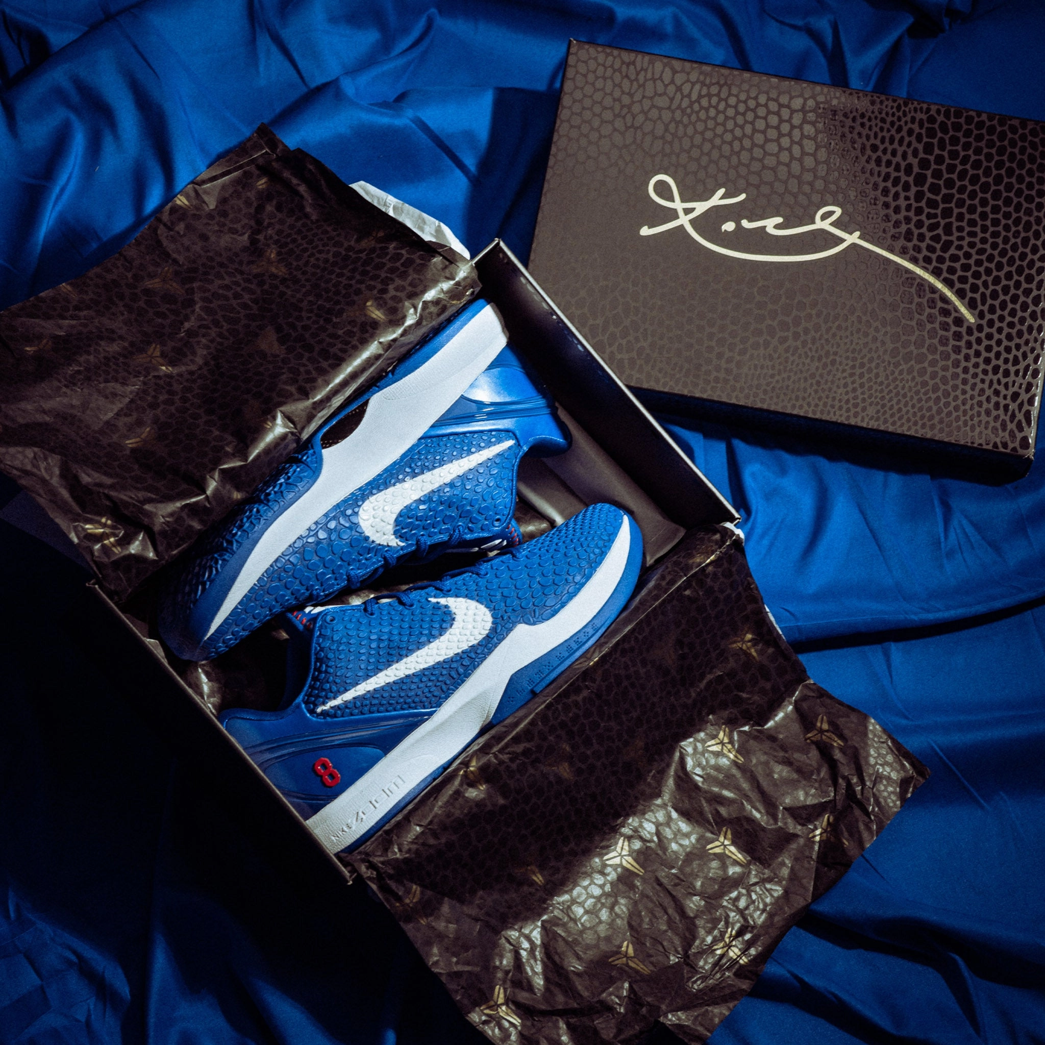 Nike Kobe 6 Protro Dodgers